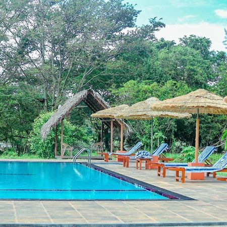 Sigiriya Peacock Homestay Ngoại thất bức ảnh