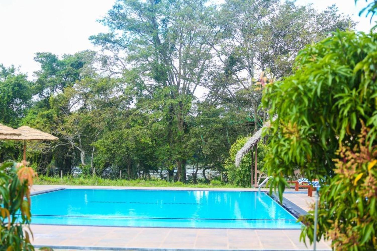 Sigiriya Peacock Homestay Ngoại thất bức ảnh