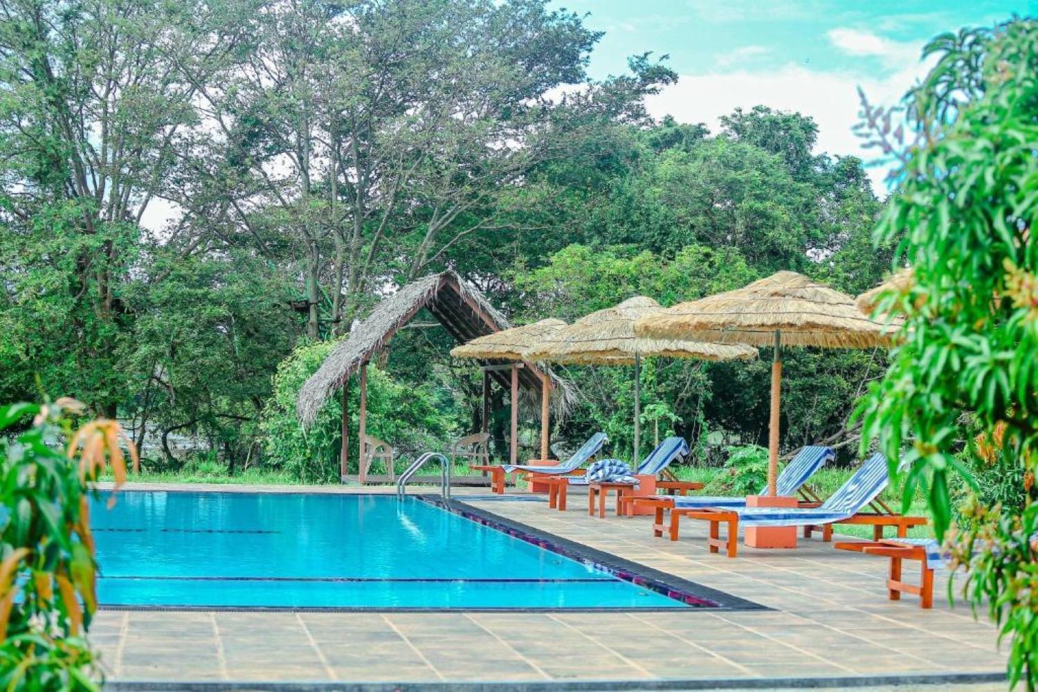 Sigiriya Peacock Homestay Ngoại thất bức ảnh