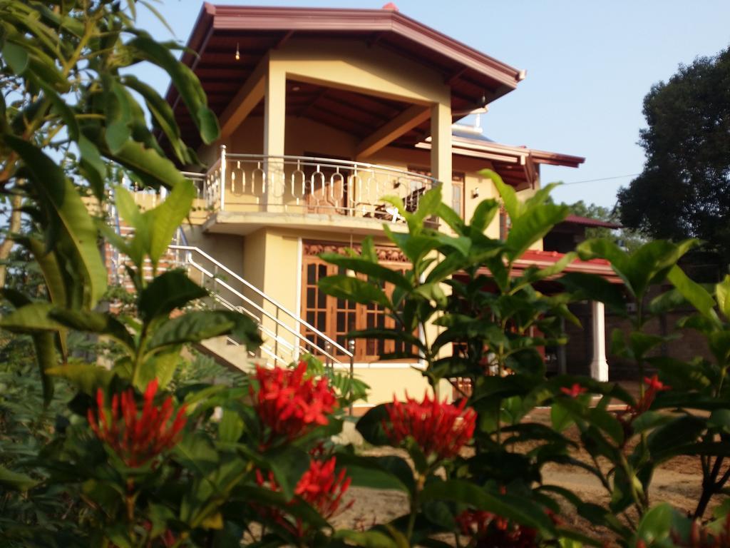 Sigiriya Peacock Homestay Ngoại thất bức ảnh