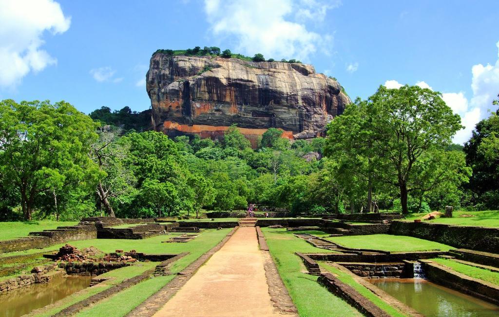 Sigiriya Peacock Homestay Ngoại thất bức ảnh