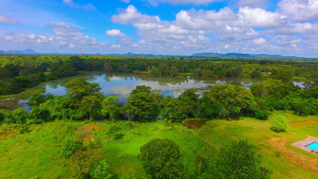 Sigiriya Peacock Homestay Ngoại thất bức ảnh