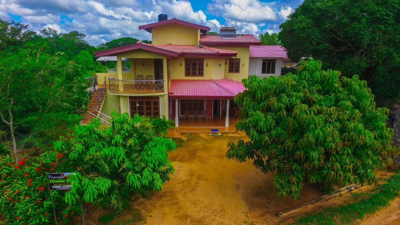 Sigiriya Peacock Homestay Ngoại thất bức ảnh