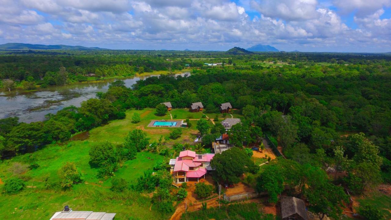 Sigiriya Peacock Homestay Ngoại thất bức ảnh